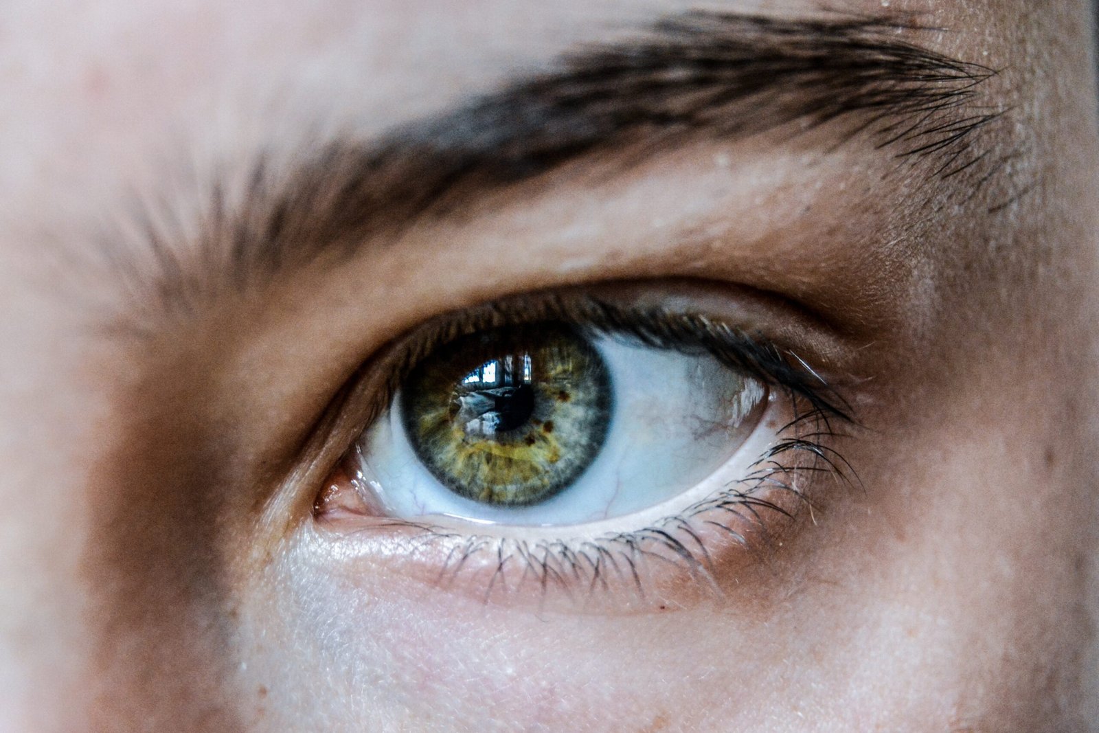brows
